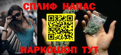 apvp Славгород