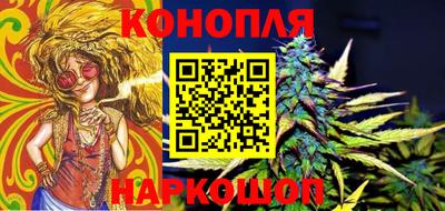 apvp Славгород