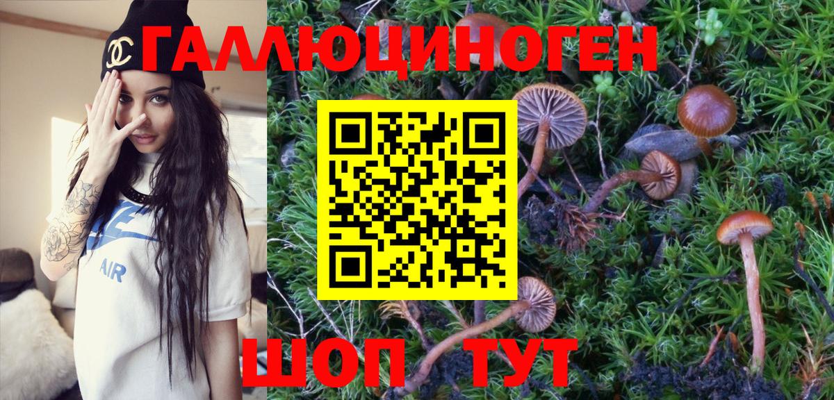 Псилоцибиновые грибы Magic Shrooms  Вход с VPN  Можга 