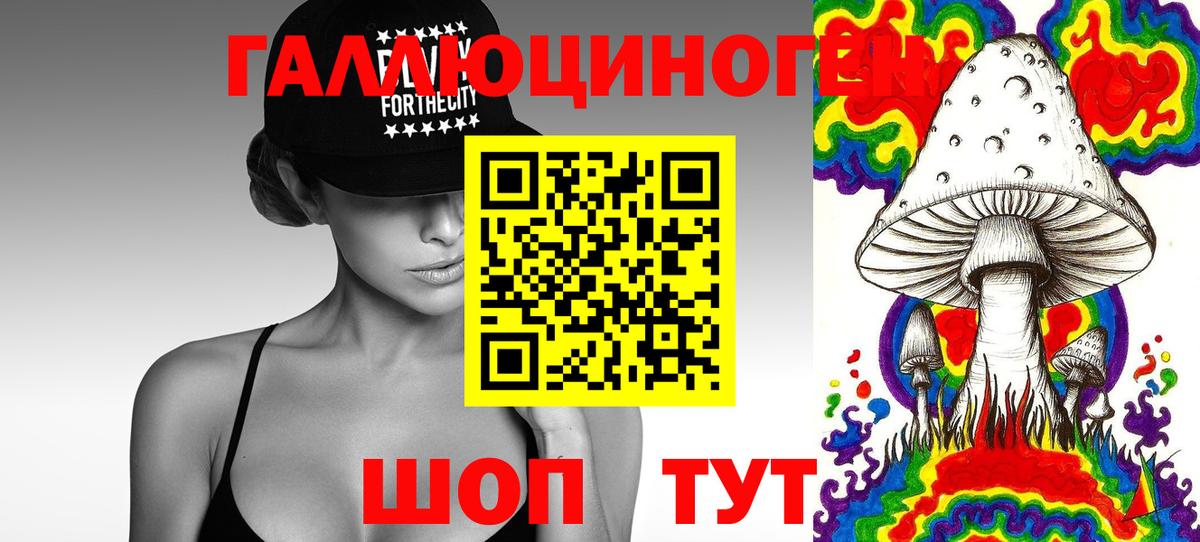 Псилоцибиновые грибы Psilocybine cubensis Можга